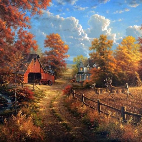 Дикая природа художника Абрахама Хантера