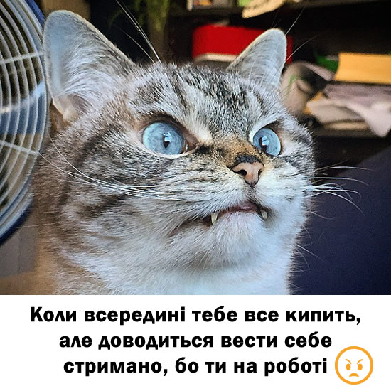 Волна добра!