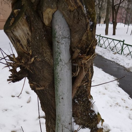Спрятался